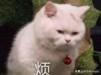 手机上的流氓软件怎么彻底删除