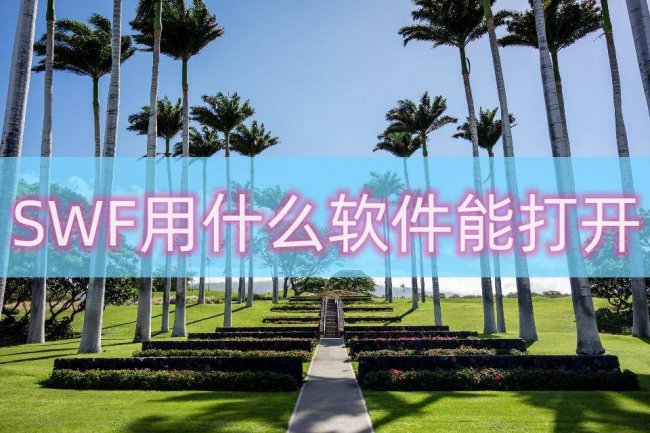 swf转换为flash源文件格式