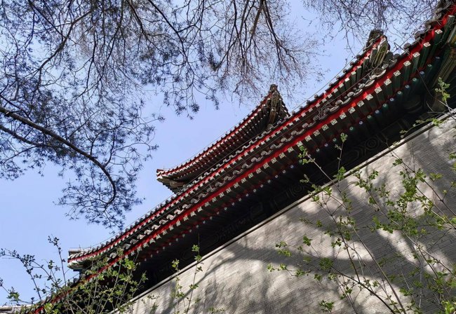iqooz3屏幕多少英寸