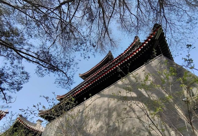 iqooz3屏幕多少英寸