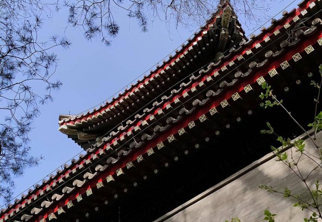 iqooz3屏幕多少英寸