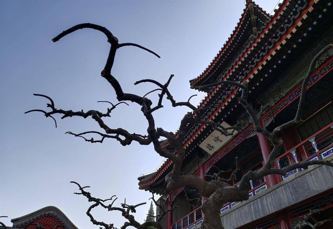 iqooz3屏幕多少英寸