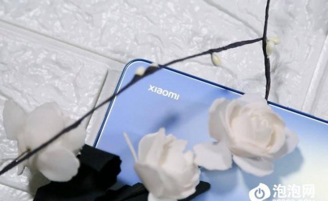 小米11青春版多少寸