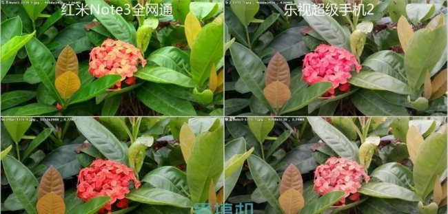 乐视2手机电池型号是多少