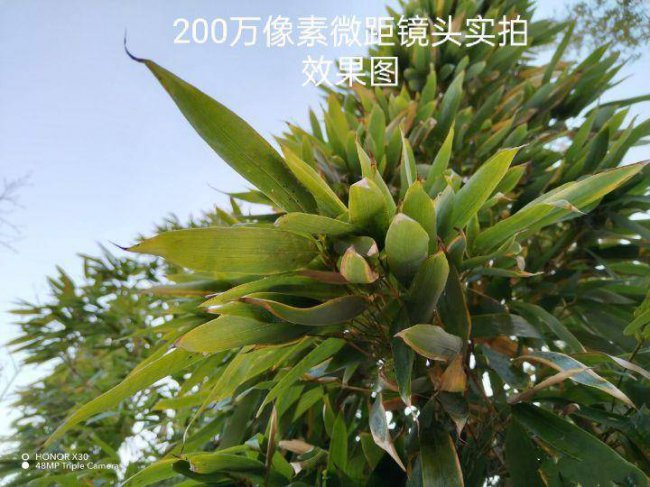 荣耀x30i属于什么档次的手机