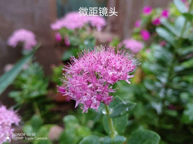 荣耀x30i属于什么档次的手机