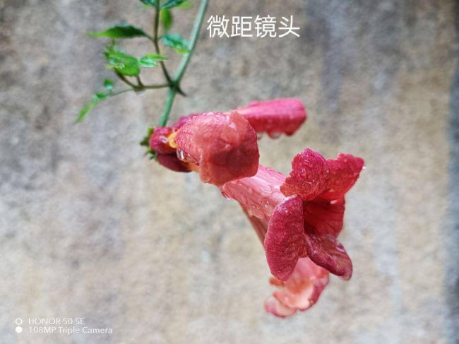 荣耀x30i属于什么档次的手机