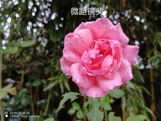 荣耀x30i属于什么档次的手机