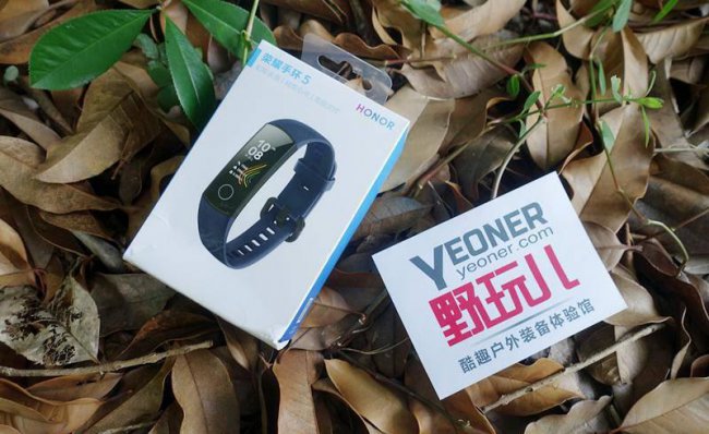 荣耀手环5可以连接苹果手机吗