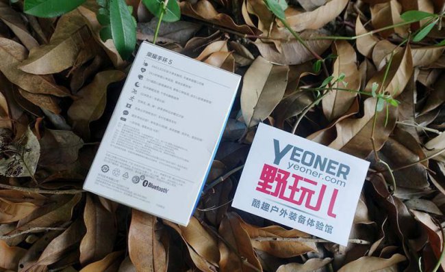 荣耀手环5可以连接苹果手机吗