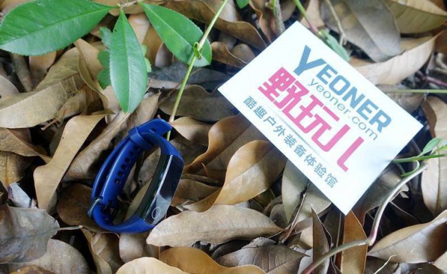 荣耀手环5可以连接苹果手机吗