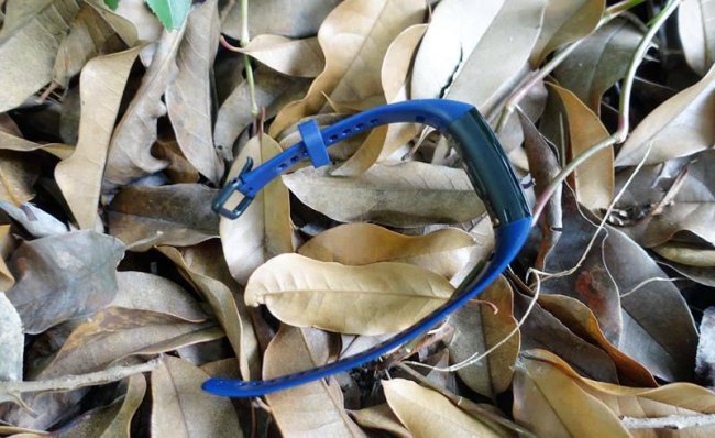荣耀手环5可以连接苹果手机吗