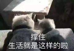 华为p8max手机视频存在哪里