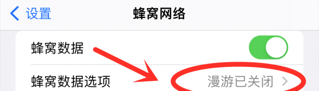 苹果手机网速慢怎么处理