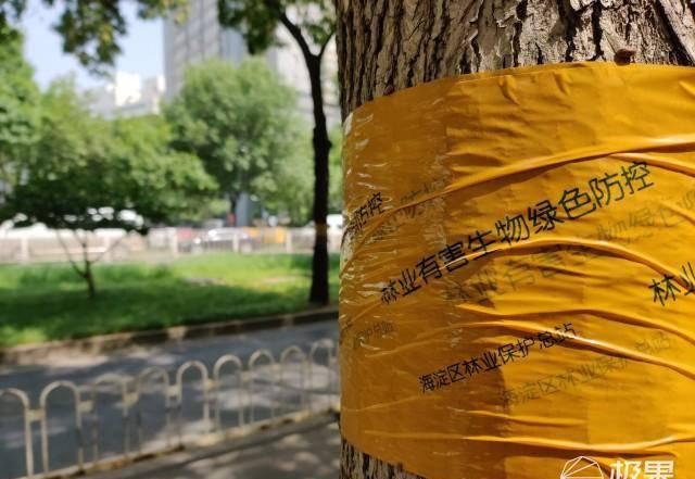 一加7pro无线充电多少瓦