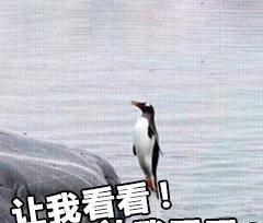 vivoy55怎么截屏