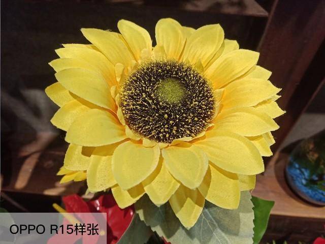 oppor17后置摄像头像素多少