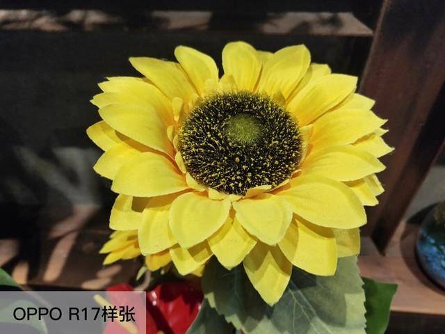 oppor17后置摄像头像素多少