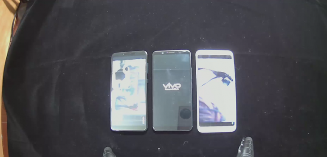 vivo