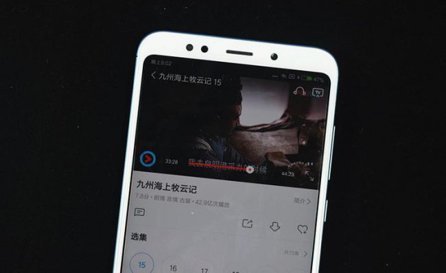 vivo
