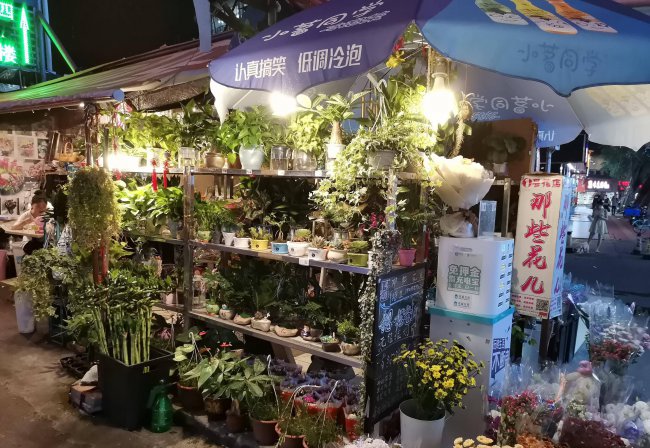 华为9x参数配置详情在哪