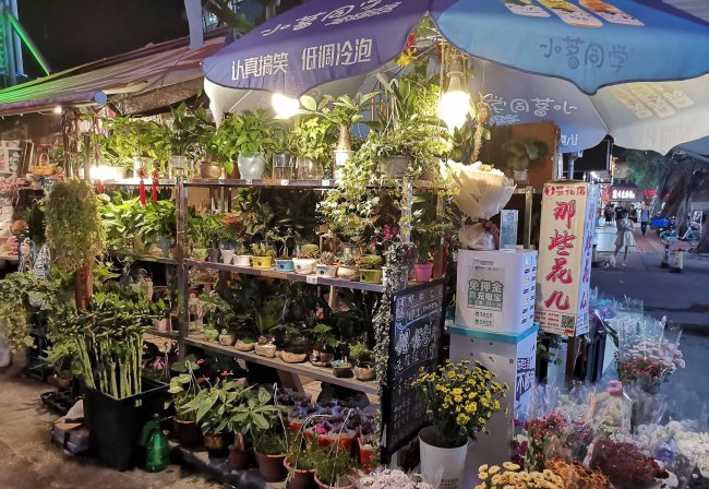 华为9x参数配置详情在哪