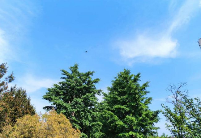 note10pro和note11tpro+区别对比