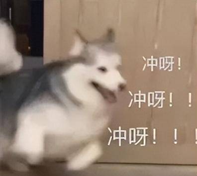 军用三防手机推荐哪款