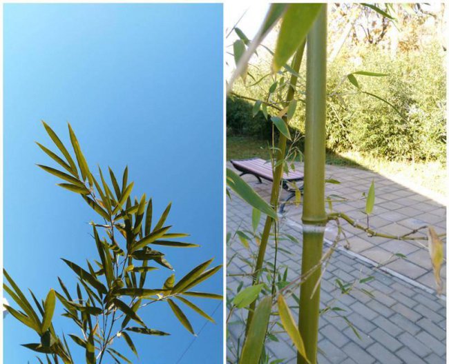 华为荣耀畅玩4x各按键