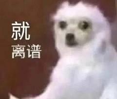 nex手机黑屏打不开怎么办