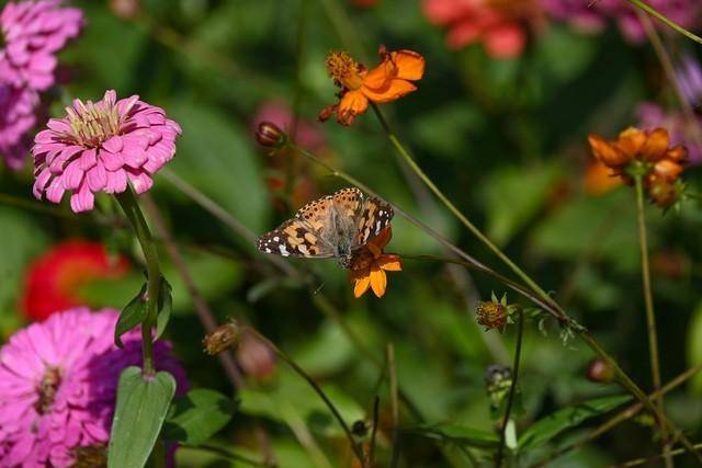 手机最高像素是多少