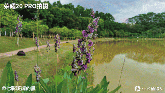 华为荣耀20pro测评