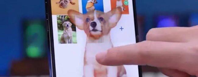 iphone11怎么截长图设置