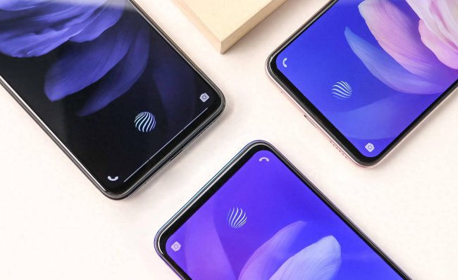vivo