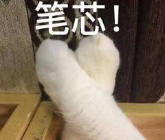 苹果iphone