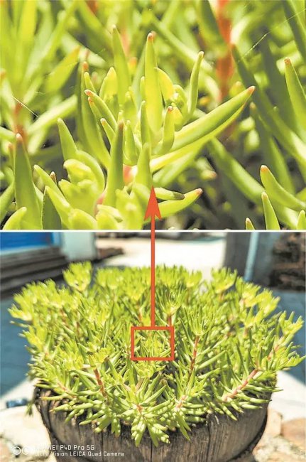 华为p40pro前置摄像头参数
