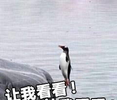 vivoy55怎么截屏几种方法