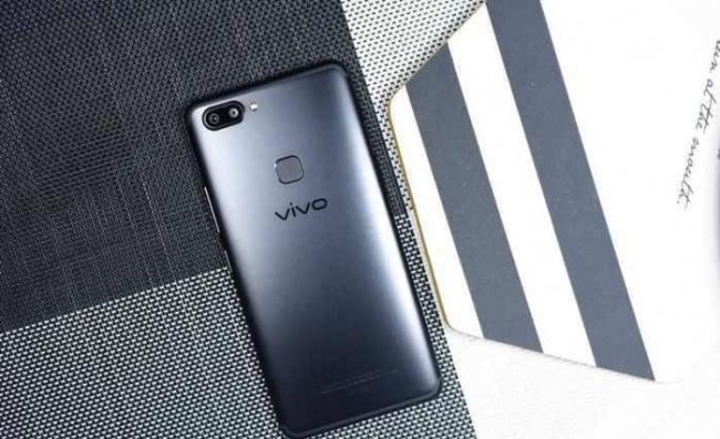 vivo