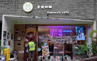 索尼最小触屏手机有哪些
