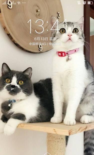 oppo手机主题怎么设置自定义