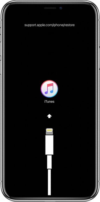 iphonexsmax强制重启怎么操作