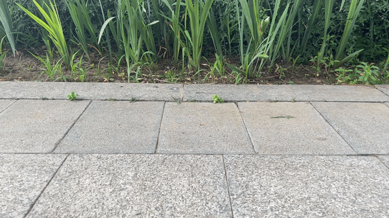 三防智能手机哪个最好用
