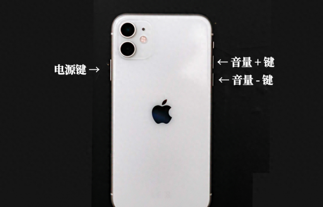 苹果手机11怎么强制关机重启