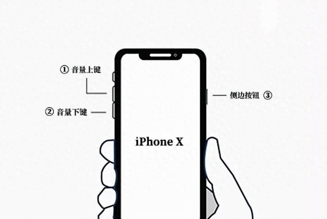 苹果手机11怎么强制关机重启