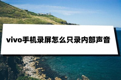 vivoy7s录屏怎么录手机里的声音 了解vivoy录屏录音设置方法