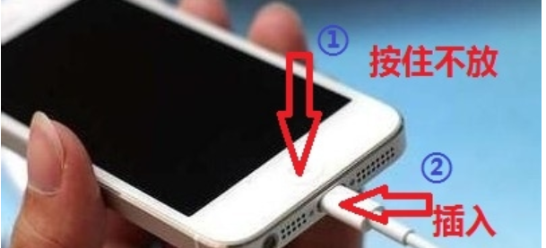 iphone已停用itunes怎么连接