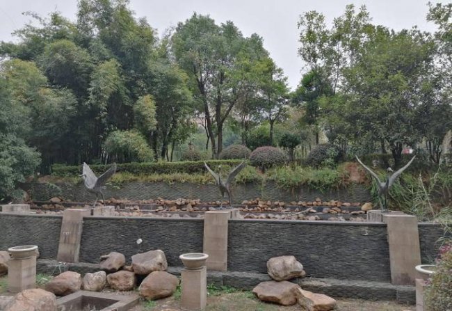 荣耀20青春版指纹解锁在哪里