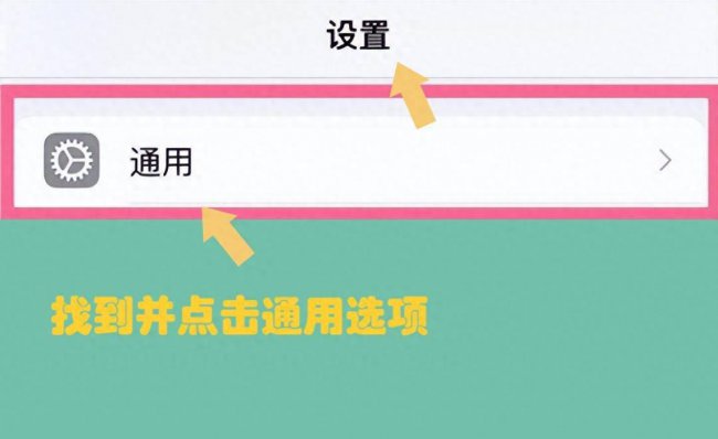 苹果手机型号在哪里看到