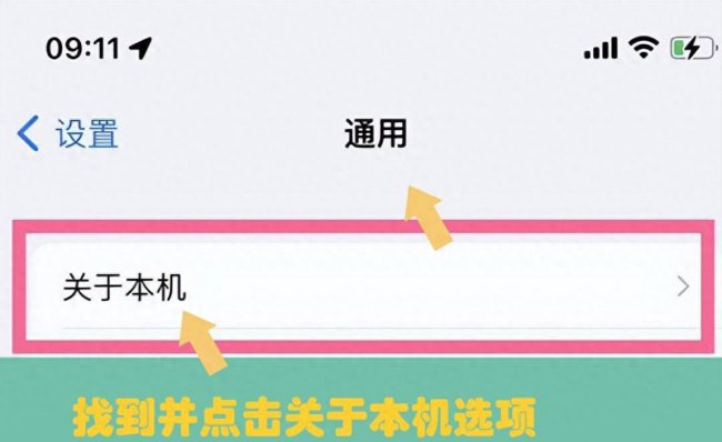 苹果手机型号在哪里看到