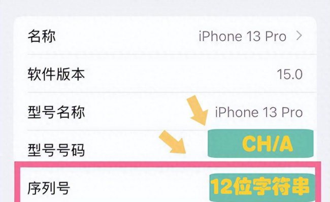 苹果手机型号在哪里看到
